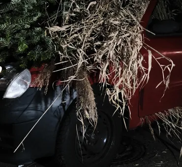 Kinga Kielczynska, XVII, 2023. Installation view, CARPARK, 2023. Photo: Jiri Abendt.