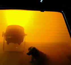 Dennis Dizon, hotboxx, 2023. Installationsansicht, CARPARK, 2023. Foto: Jiri Abendt.